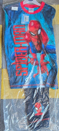 P113 SPIDERMAN