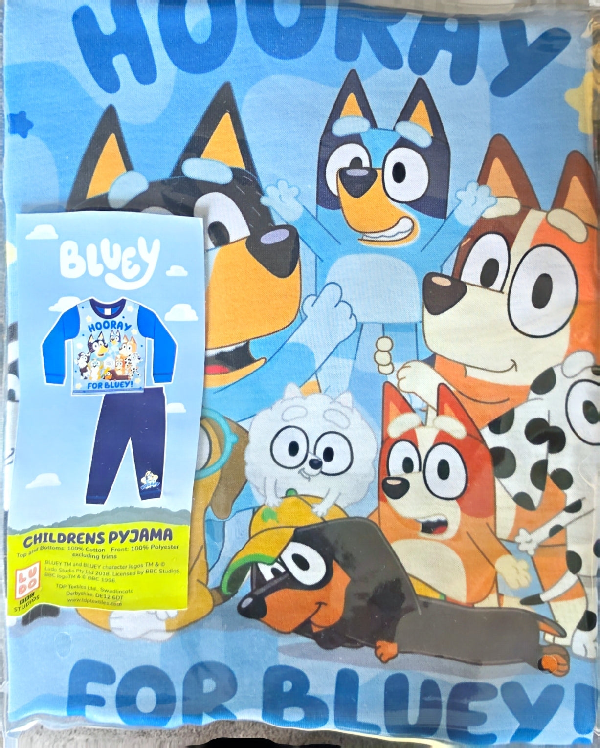 P47 BLUEY PYJAMAS